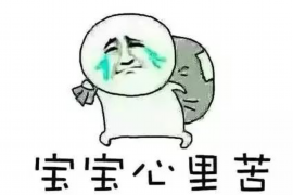 光泽清数公司排名前十名：揭秘行业佼佼者