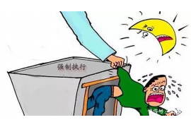 陈江河骆玉珠要账：一场关于诚信与权益的较量